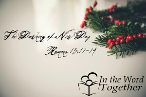 christmas holly decoration