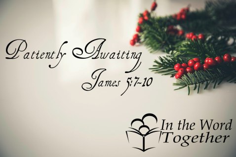 christmas holly decoration