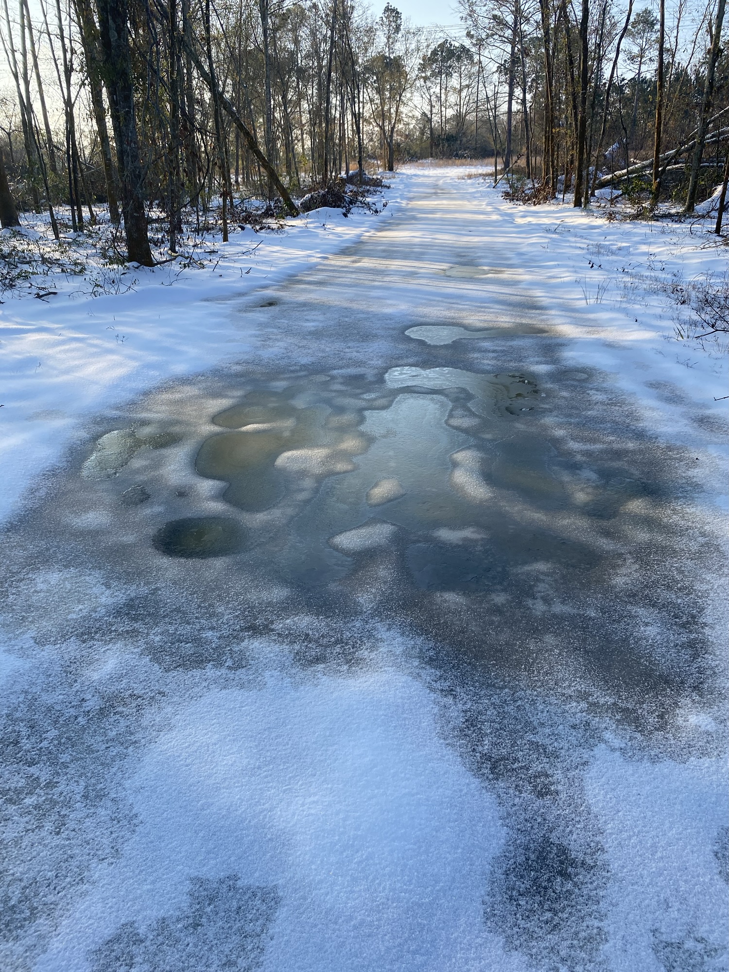 Our driveway iced over. 